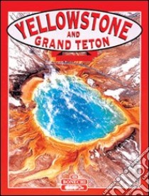 Yellowstone and Grand Teton national parks libro di Wilkinson Todd