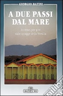 A due passi dal mare. Itinerari per gite dalle spiagge della Versilia libro di Batini Giorgio