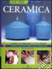 Ceramica due in uno. Arte e tecnica libro di Mattson Steve