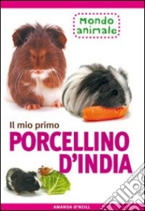 Il mio primo porcellino d'India libro di O'Neill Amanda