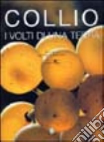 Collio. I volti di una terra. Ediz. illustrata libro di Busso Mario