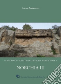 Norchia. Vol. 3: Le necropoli rupestri dell'Etruria meridionale 4 libro di Ambrosini Laura