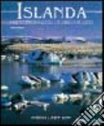 Islanda. Volto di ghiaccio e cuore di fuoco. Ediz. illustrata libro di Bourbon Fabio