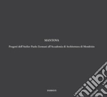 Mantova. Progetti dell'Atelier Paolo Zermani all'Accademia di Architettura di Mendrisio. Ediz. illustrata libro di Zermani P. (cur.)