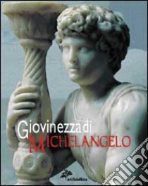 Giovinezza di Michelangelo libro