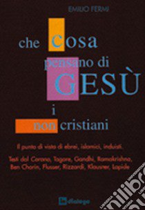 Che cosa pensano di Gesù i non cristiani libro di Fermi Emilio