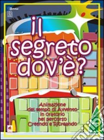 Il segreto dov'è? Animazione del tempo di Avvento in oratorio libro di Fondazione Oratori Milanesi (cur.)