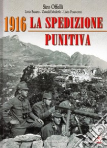 1916. La spedizione punitiva libro di Offelli Siro