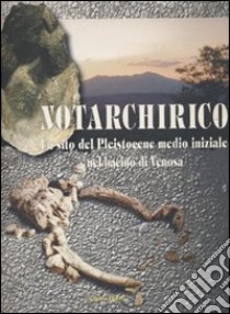 Notarchirico. Un sito del pleistocene medio iniziale nel bacino di Venosa libro di Piperno M. (cur.)