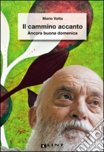 Il cammino accanto. Ancora buona domenica libro di Vatta Mario