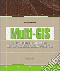 Multi-GIS. Software per il collegamento tra dati relativi ad un oggetto e la loro ubicazione sul territorio. Con Contenuto digitale per download e accesso on line libro di Vernice Michele