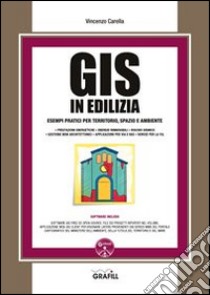 GIS in edilizia. Esempi pratici per territorio, spazio ed ambiente. Con Contenuto digitale per download e accesso on line libro di Carella Vincenzo