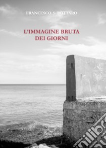 L'immagine bruta dei giorni libro di Bottaro Francesco Stefano