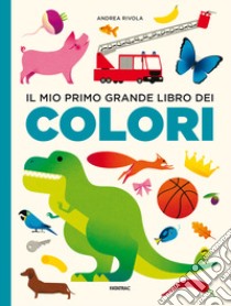 Il mio primo grande libro dei colori. Ediz. a colori libro di Rivola Andrea