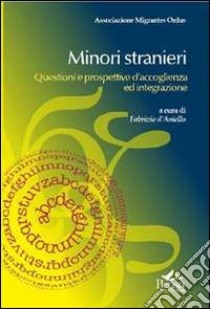 Minori stranieri. Questioni e prospettive d'accoglienza ed integrazione libro di D'Aniello F. (cur.)