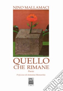 Quello che rimane libro di Mallamaci Nino