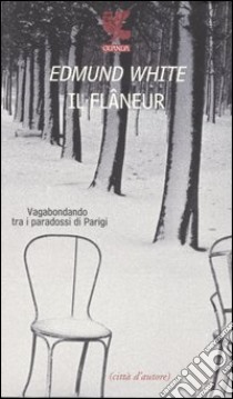 Il flâneur. Vagabondando tra i paradossi di Parigi libro di White Edmund