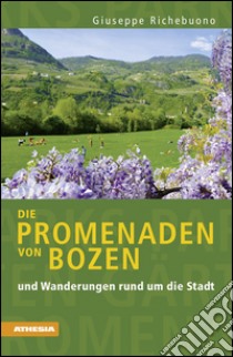 Die Promenaden von Bozen und Wanderungen rund um die Stadt libro di Richebuono Giuseppe