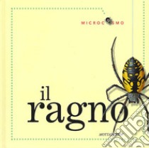 Il ragno. Ediz. illustrata libro di Morris Ting; Sanzi Desiderio