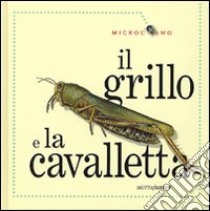 Il grillo e la cavalletta. Ediz. illustrata libro di Morris Ting