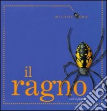 Il ragno libro di Morris Ting; Sanzi Desiderio