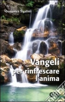 Vangeli per rinfrescare l'anima libro di Sigalini Domenico