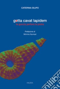 Gutta cavat lapidem. La goccia perfora la pietra libro di Silipo Caterina