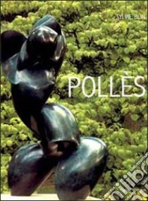 Pollès. Ediz. italiana, inglese e francese libro di Blin Sylvie