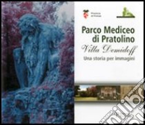 Parco Mediceo di Pratolino. Villa Demidoff. Una storia per immagini libro di Becattini M. (cur.)