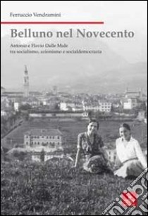 Belluno nel Novecento. Antonio e Flavio dalle Mule tra socialismo, azionismo e socialdemocrazia. Ediz. illustrata libro di Vendramini Ferruccio