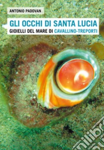 Gli occhi di santa Lucia. Gioielli del mare di Cavallino-Treporti libro di Padovan Antonio