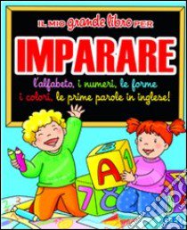 Il Mio grande libro per imparare libro