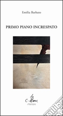 Primo piano increspato libro di Barbato Emilia; Cucchi M. (cur.)