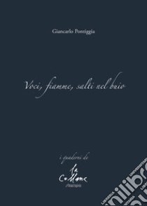 Voci, fiamme, salti nel buio libro di Pontiggia Giancarlo; Cucchi M. (cur.)