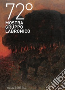 72ª mostra Gruppo Labronico. Villa Bertelli. Ediz. illustrata libro di Dei E. (cur.); Fasulo S. (cur.); Suggi J. (cur.)