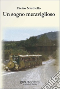 Un sogno meraviglioso libro di Nardiello Pietro