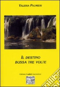 Il destino bussa tre volte libro di Palmieri Valeria