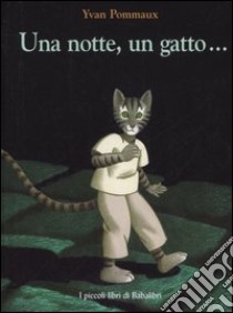 Una notte, un gatto.... Ediz. illustrata libro di Pommaux Yvan