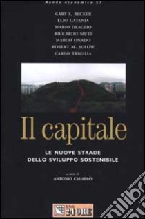 Il capitale. Le nuove strade dello sviluppo sostenibile libro