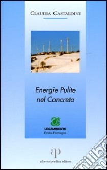 Energie pulite nel concreto libro di Castaldini Claudia