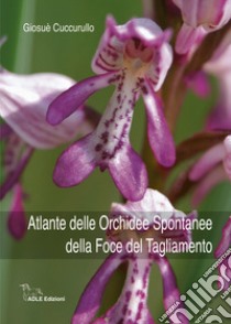 Atlante delle orchidee spontanee della foce del Tagliamento libro di Cuccurullo Giosuè