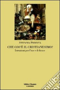 Che cos'è il cristianesimo? Istruzioni per l'uso e il disuso libro di Podestà Stefania