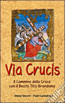 Via crucis. Il cammino della croce con il beato Tito Brandsma libro di Brandsma Tito