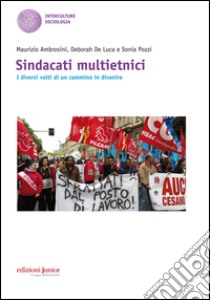 Sindacati multietnici. I diversi volti di un cammino in divenire libro di Ambrosini Maurizio; De Luca Deborah; Pozzi Sonia