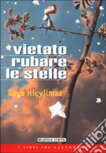 Vietato rubare le stelle libro di Hicyilmaz Gaye