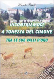 Incontriamoci a Tonezza libro di Picelli Benito