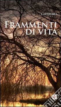 Frammenti di vita libro di Giudibra