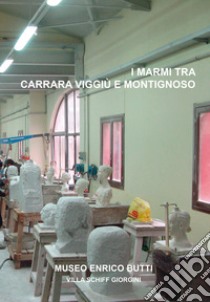 I marmi tra Carrara, Viggiù e Montignoso. La scultura dell'Accademia di Belle Arti di Carrara libro di Campagna I. (cur.)