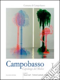 Campobasso. Capoluogo del Molise. Ediz. illustrata. Vol. 1: Storia, evoluzione urbanistica, economia e società libro di Lalli R. (cur.); Lombardi N. (cur.); Palmieri G. (cur.)