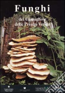 Funghi del Cansiglio e delle Prealpi venete libro